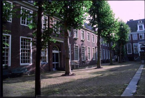 2014-12/118 Platanen 194.jpg