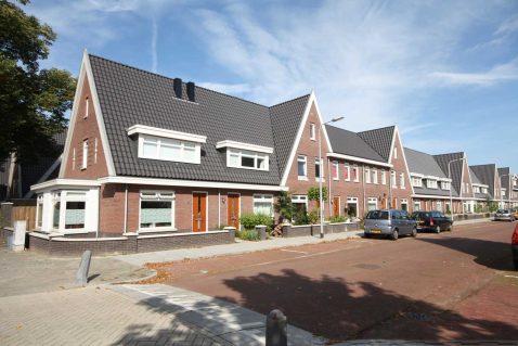 2015-06/413 brede-tijm 140828.jpg