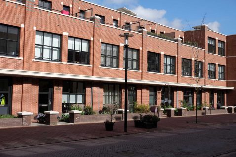 2017-04/421-plot-1-mbcf6410