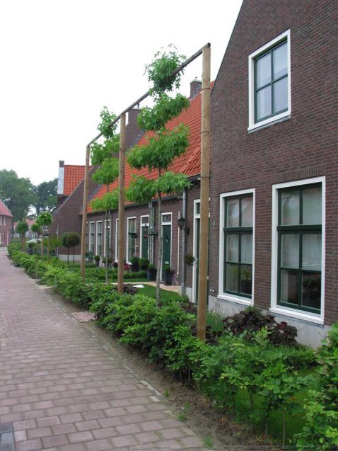 2013-10/IMG_8003 (1).jpg