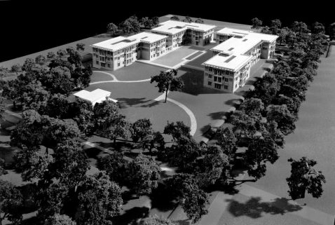 vogelvlucht vanuit het bos