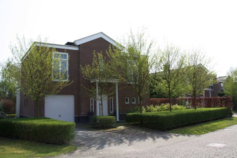 2013-10/mb 2009_04_151128.jpg