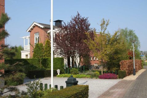 2013-10/mb 2009_04_151147.jpg