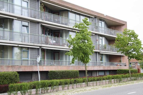 2013-12/mb 2010_05_117780.JPG