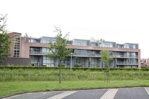 2013-12/mb 2010_05_117793.JPG