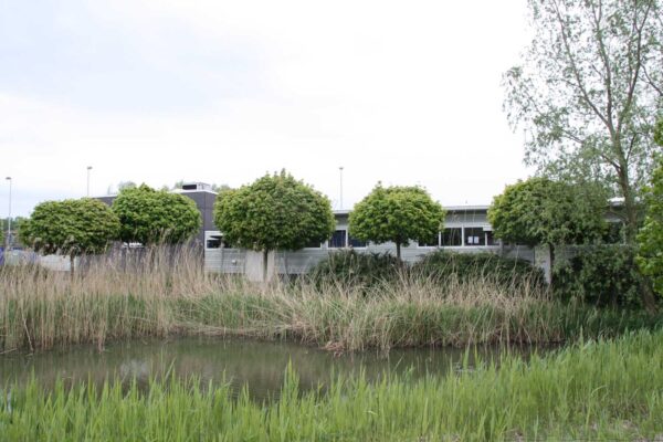 2014-10/mb 2010_05_117804.jpg