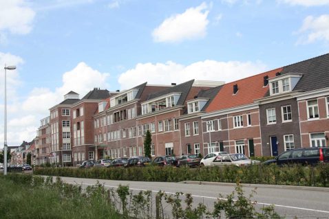 2014-11/mb 2012_06_17 8700 (2).jpg