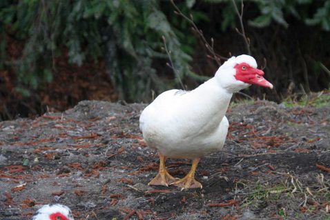 2013-11/mb 2013_03_30 9999_53.jpg