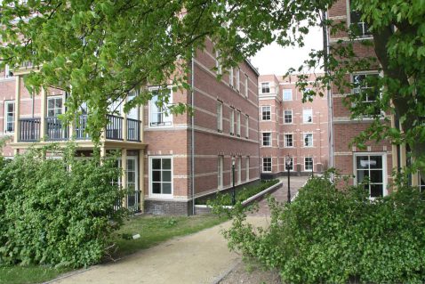 2013-12/mb 2013_05_11 0772.jpg