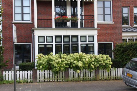 2013-10/mb 2013_10_03 3251.jpg