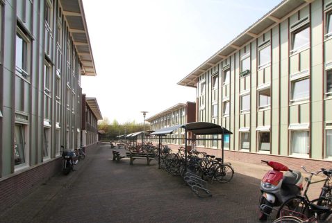 2013-11/pd 2010_04_07 0806 2.jpg