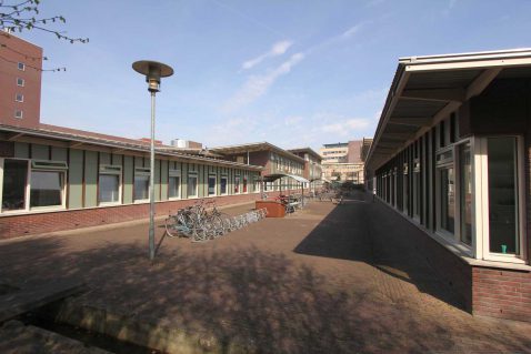 2013-11/pd 2010_04_07 0813.jpg