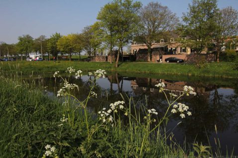 2014-11/pd 2011_04_20 8391.jpg