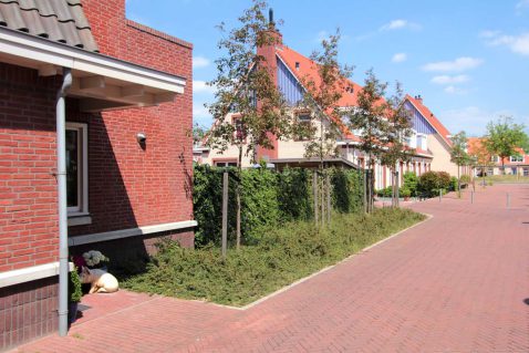 2013-11/pd 2011_05_21 8723.jpg