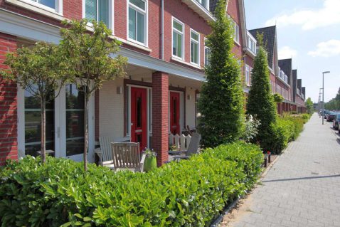 2013-11/pd 2011_05_21 8750.jpg