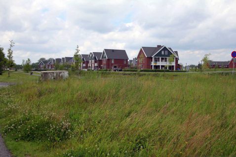 2013-11/pd 2012_06_17 3074.jpg