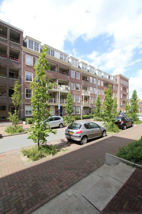 2014-11/pd 2012_06_17 3154.jpg