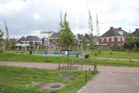 2014-11/pd 2012_06_17 3163.jpg