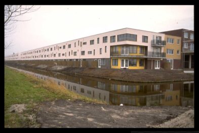 2013-11/Photo 19 of 101.jpg