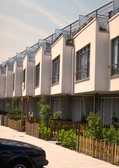 2013-11/Photo 8 of 101.jpg