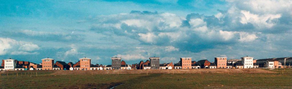 2014-08/Specht 01.jpg