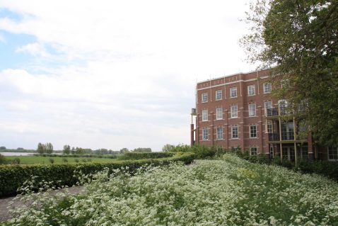 2013-12/Walfront 130511.jpg